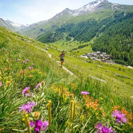 Apartman Chamois Blanc Terrasse - A Haven Near Aiguille Du Midi *