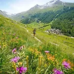 Daire Chamois Blanc Terrasse - A Haven Near Aiguille Du Midi *